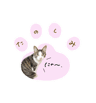♡ぷりかる様2（個別スタンプ：12）