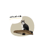 ♡ぷりかる様2（個別スタンプ：14）