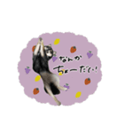 ♡ぷりかる様2（個別スタンプ：16）