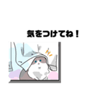 ラグドールのこてつ（個別スタンプ：14）