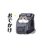 ラグドールのこてつ（個別スタンプ：21）