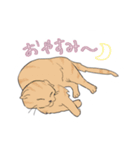 ねこの集まり！（個別スタンプ：2）