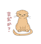 ねこの集まり！（個別スタンプ：11）