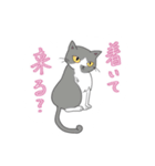 ねこの集まり！（個別スタンプ：16）