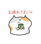 にゃんこスタンプにゃ（個別スタンプ：5）