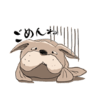 トドいぬ（個別スタンプ：3）