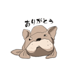 トドいぬ（個別スタンプ：5）