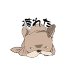 トドいぬ（個別スタンプ：7）