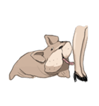 トドいぬ（個別スタンプ：12）