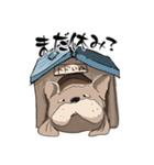 トドいぬ（個別スタンプ：13）