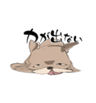 トドいぬ（個別スタンプ：15）
