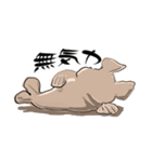 トドいぬ（個別スタンプ：16）