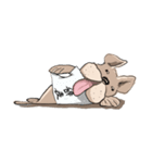 トドいぬ（個別スタンプ：19）