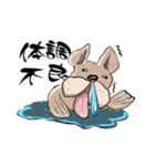 トドいぬ（個別スタンプ：21）