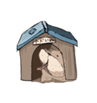 トドいぬ（個別スタンプ：28）
