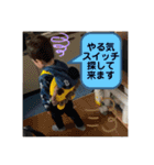 ちびミツ1（個別スタンプ：15）