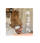 ウィルのきもち5（個別スタンプ：8）