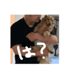 ウィルのきもち5（個別スタンプ：13）
