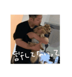 ウィルのきもち5（個別スタンプ：14）