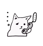 白い柴犬さん（個別スタンプ：6）