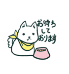 白い柴犬さん（個別スタンプ：9）
