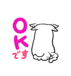 白い柴犬さん（個別スタンプ：11）