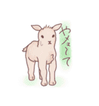 あにまるえん〜もふもふ〜（個別スタンプ：15）