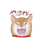 あにまるえん〜もふもふ〜（個別スタンプ：19）