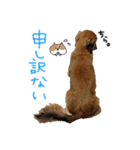 ひでお with あにまるず（個別スタンプ：4）