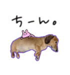 ひでお with あにまるず（個別スタンプ：5）