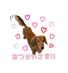 ひでお with あにまるず（個別スタンプ：7）