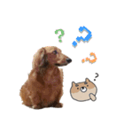 ひでお with あにまるず（個別スタンプ：8）