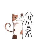 空気を読んで会話を彩るかわいい動物たち（個別スタンプ：14）