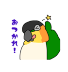 ズグロシロハラインコ！2（個別スタンプ：3）