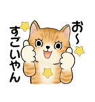 ラブリー猫さん ♡ ほのぼの関西弁（個別スタンプ：15）