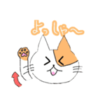 ねこのまあまあ使えるスタンプ（個別スタンプ：2）