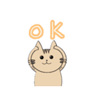 ねこのまあまあ使えるスタンプ（個別スタンプ：5）