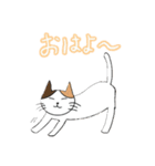 ねこのまあまあ使えるスタンプ（個別スタンプ：10）