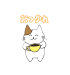 ねこのまあまあ使えるスタンプ（個別スタンプ：11）