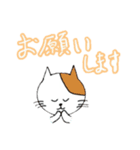 ねこのまあまあ使えるスタンプ（個別スタンプ：14）