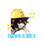 愛犬そらまめちゃん（個別スタンプ：2）