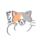 表情がコロコロ変わるネコの日常！(再販)（個別スタンプ：1）