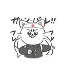 表情がコロコロ変わるネコの日常！(再販)（個別スタンプ：11）