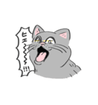 表情がコロコロ変わるネコの日常！(再販)（個別スタンプ：31）