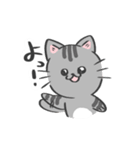 表情がコロコロ変わるネコの日常！(再販)（個別スタンプ：36）