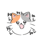 表情がコロコロ変わるネコの日常！(再販)（個別スタンプ：37）