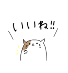 ねこの日常LINEスタンプ（個別スタンプ：6）