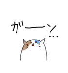 ねこの日常LINEスタンプ（個別スタンプ：8）