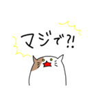 ねこの日常LINEスタンプ（個別スタンプ：11）