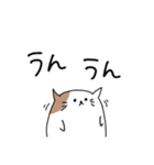 ねこの日常LINEスタンプ（個別スタンプ：13）